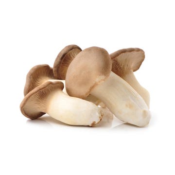 Mushroom Eryngii Thai [Per Piece] - Available at Alosra Online Supermarket