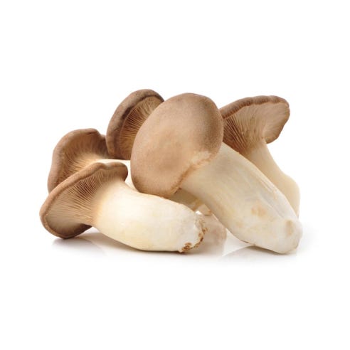 Mushroom Eryngii Thai [Per Piece] - Available at Alosra Online Supermarket