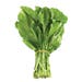 Gerger Fresh Leaves Per Bunch