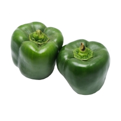 Green Capsicum M.E [Per Kg] - Available at Alosra Online Supermarket