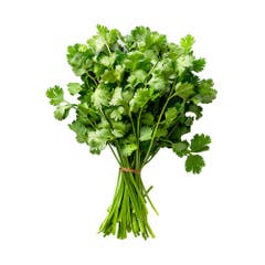 Coriander Bunch [Pre-packed] - Available at Alosra Online Supermarket