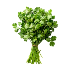Coriander Bunch [Pre-packed] - Available at Alosra Online Supermarket