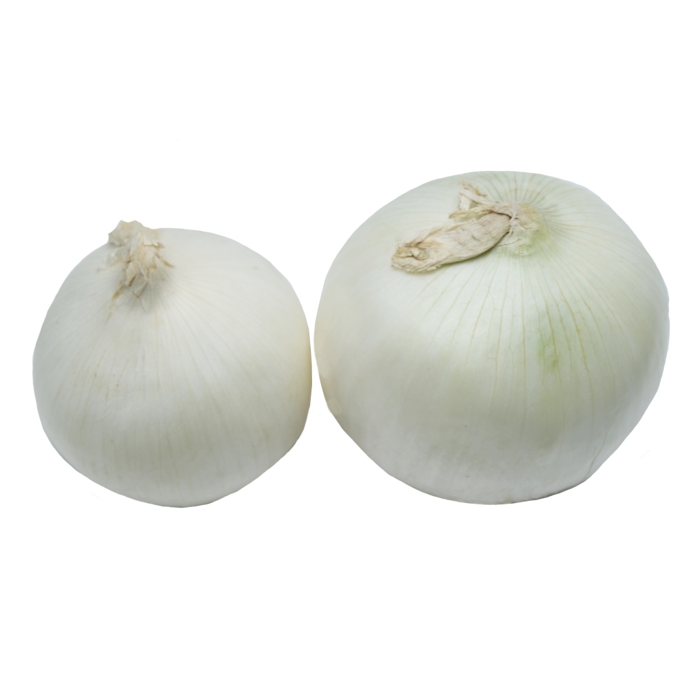 Fresh White Local Onion [Per Kg] back image