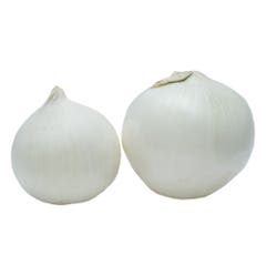 Fresh White Local Onion [Per Kg] - Available at Alosra Online Supermarket