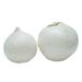 Fresh White Local Onion [Per Kg]