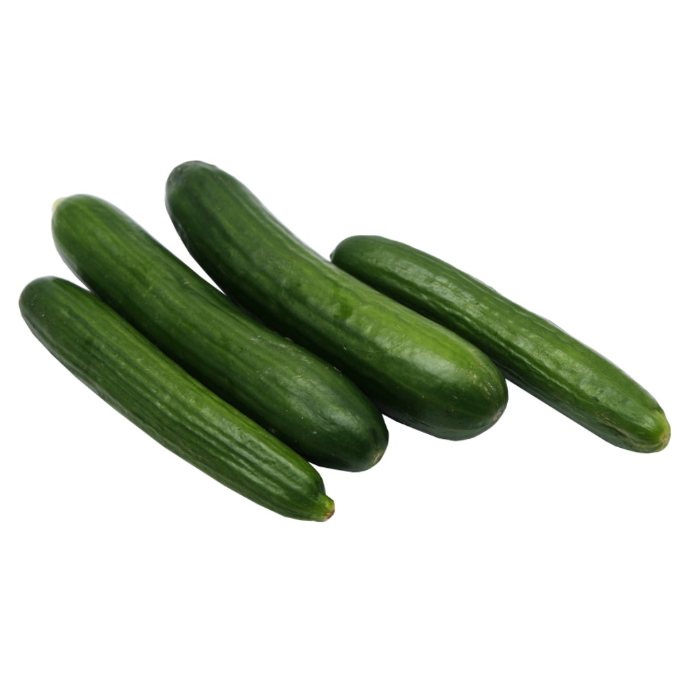 Fresh Small Cucumber [Per Kg] back image