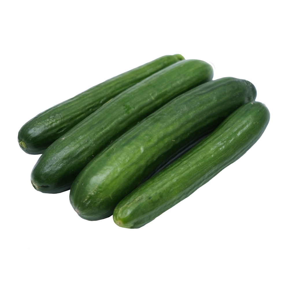 Fresh Small Cucumber [Per Kg] - Available at Alosra Online Supermarket