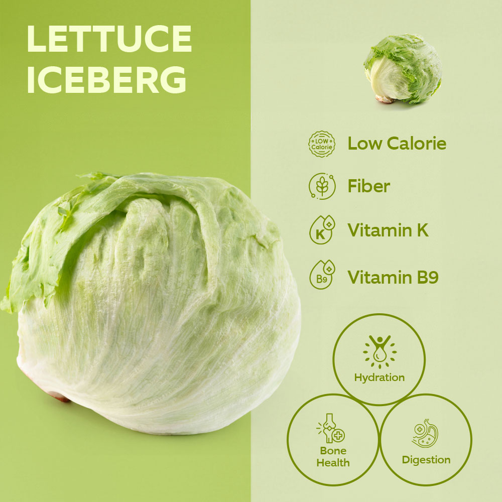 Fresh Iceberg Lettuce [Per Kg] lifestyle image