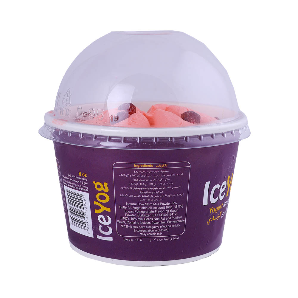 Iceyog Yogurt Ice Cream 8oz - Bahrain Alosraonline store