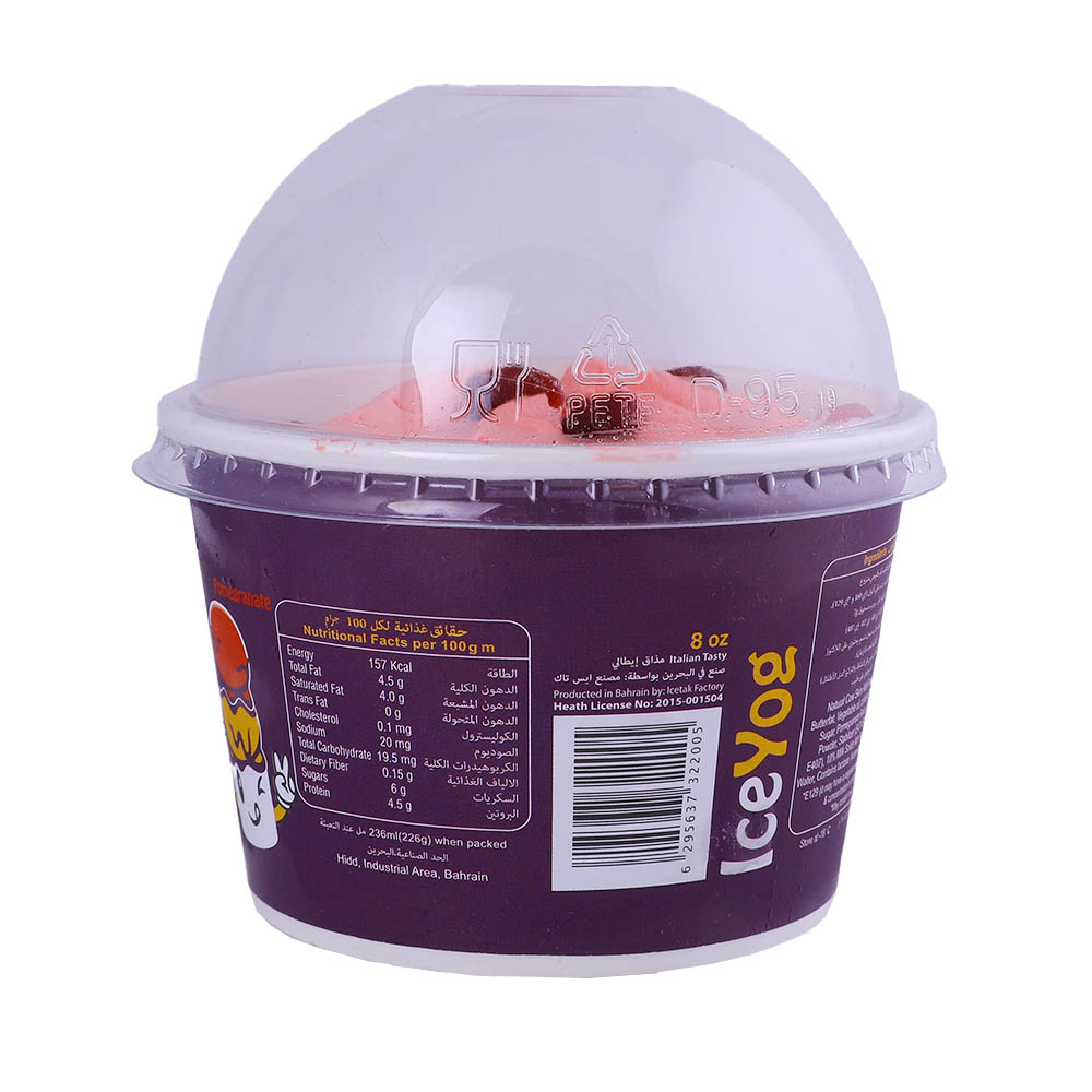 Iceyog Yogurt Ice Cream - Alosra supermarket near me

