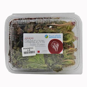 Dar Aqua Lollo Rossa Red Lettuce Pack - Available at Alosra Online Supermarket