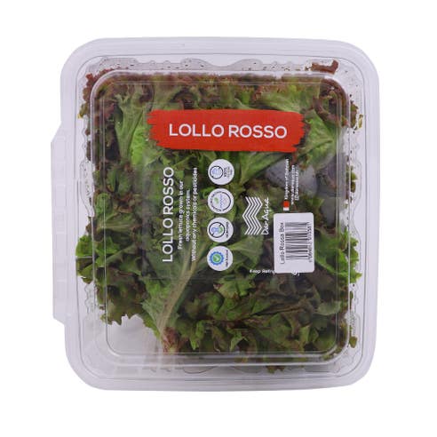 Dar Aqua Lollo Rossa Red Lettuce Pack - Available at Alosra Online Supermarket
