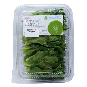 Peninsula Farms Baby Leaf Boston Pack - Available at Alosra Online Supermarket