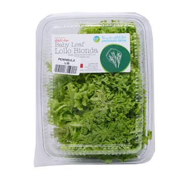 Peninsula Farms Bionda Green Lettuce Pack - Available at Alosra Online Supermarket