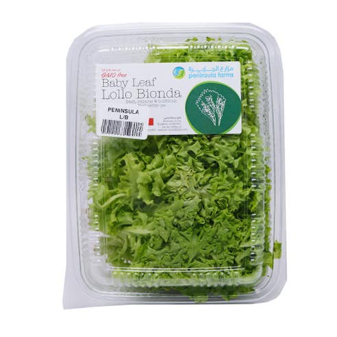 Peninsula Farms Bionda Green Lettuce Pack - Available at Alosra Online Supermarket