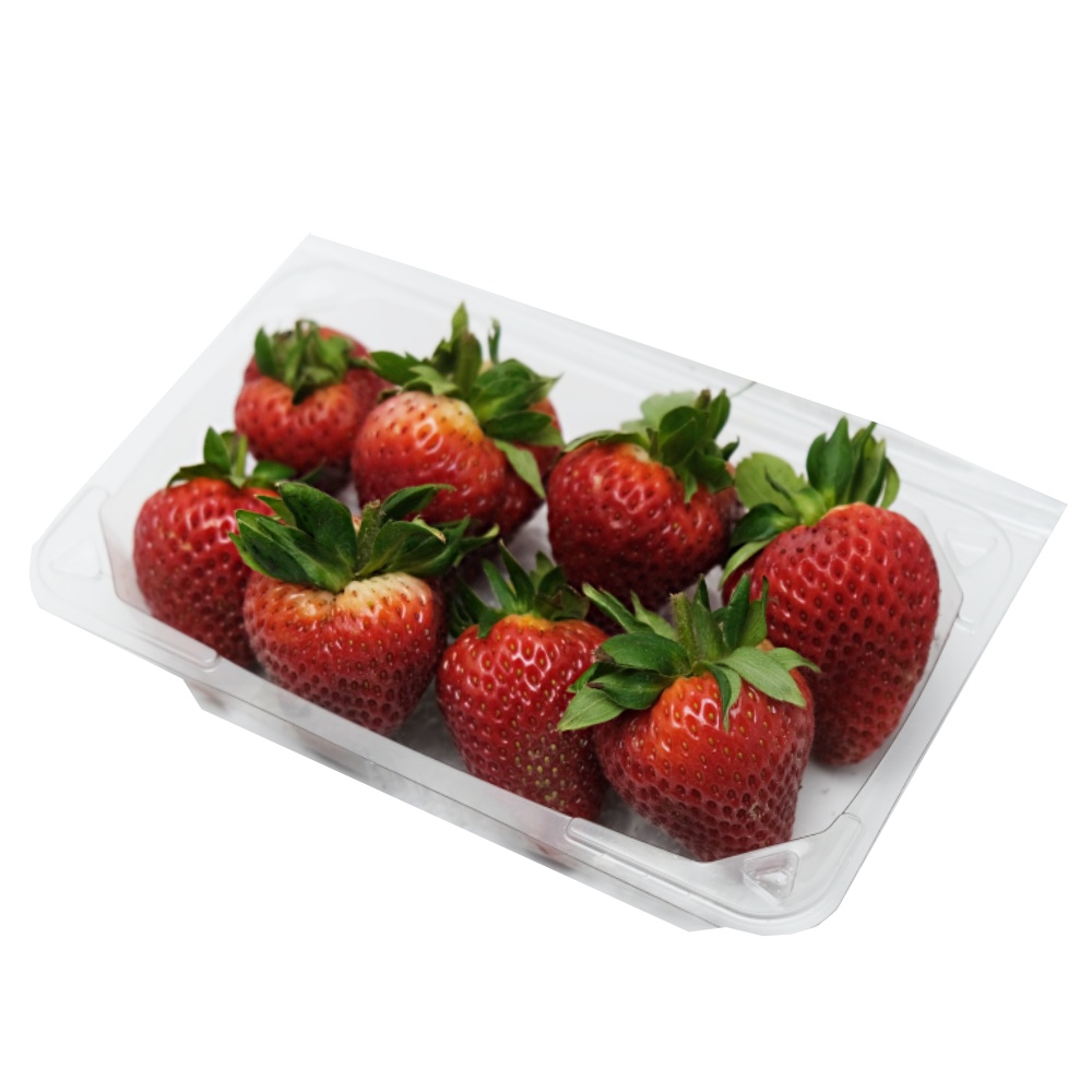 Strawberry Fresh 250g back image