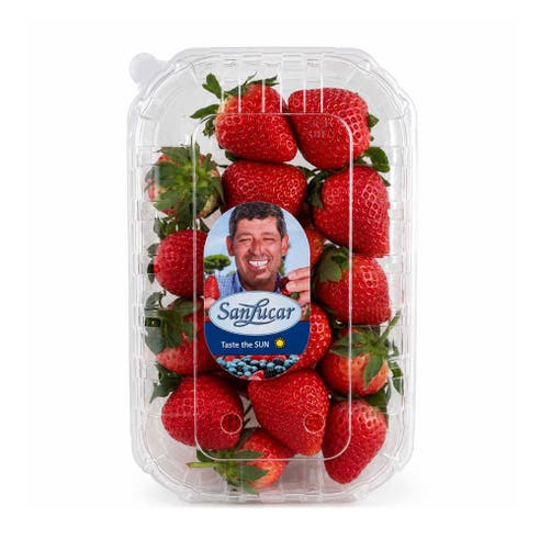 Sanlucar Strawberries 250g 