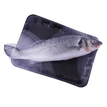 European Fresh Sea Bass [Per Kg] - Available at Alosra Online Supermarket
