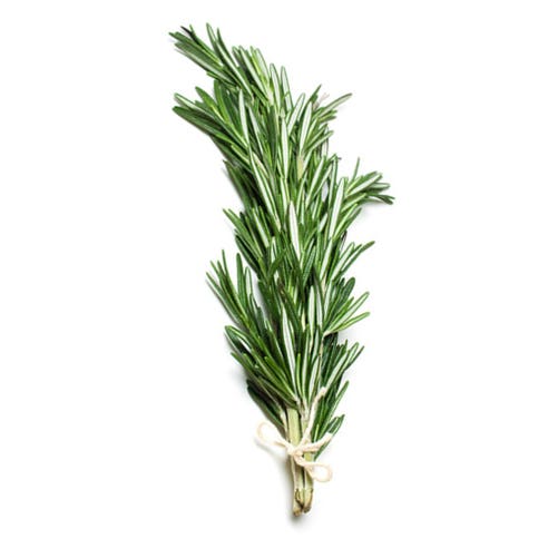 Herbs Rosemary Import 100g 