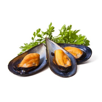 Mussels On Half Shell [Per Kg] - Available at Alosra Online Supermarket