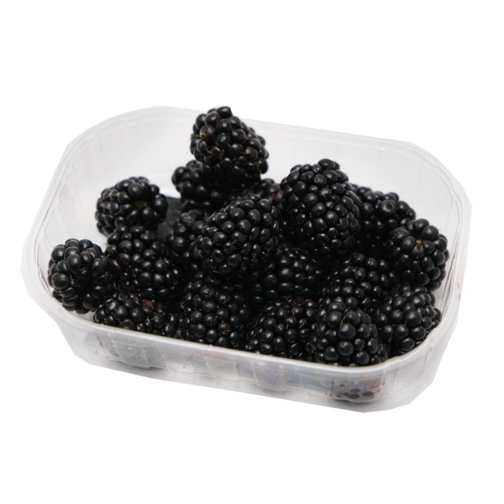 Driscolls Blackberries 125g back image