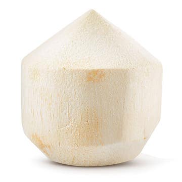 Coconut Young With Straw [Per Piece] - Available at Alosra Online Supermarket