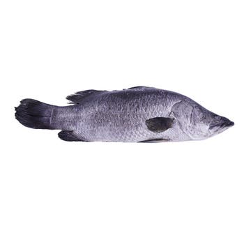 Fresh Cleaned Seabass Fish [Per Kg] - Available at Alosra Online Supermarket