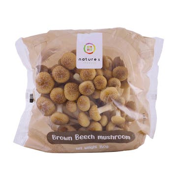 Mushroom Shimenji Brown Import 150g - Available at Alosra Online Supermarket