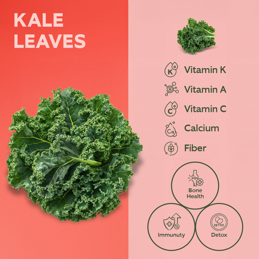 Dar Aqua Kale Leaves 150g lifestyle image