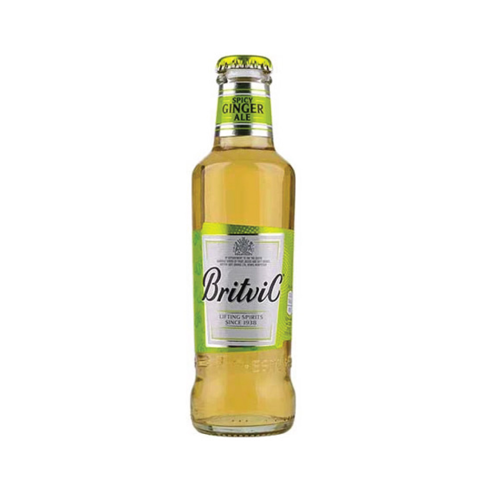 Britvic Ginger Ale 200ml - Available at Alosra Online Supermarket