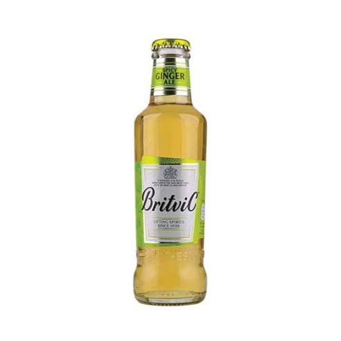 Britvic Ginger Ale 200ml - Available at Alosra Online Supermarket