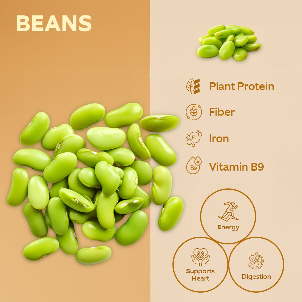 Luna Foul Medames Broad Beans 380g lifestyle image