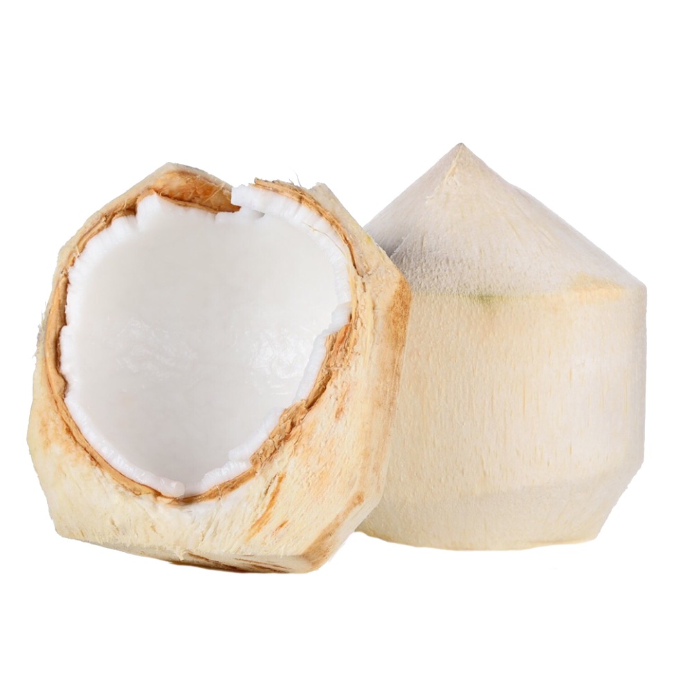 Coconut Young Vietnam [Per Piece] right side image
