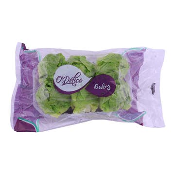 Baby Gem Lettuce Import [Per Pack] - Available at Alosra Online Supermarket