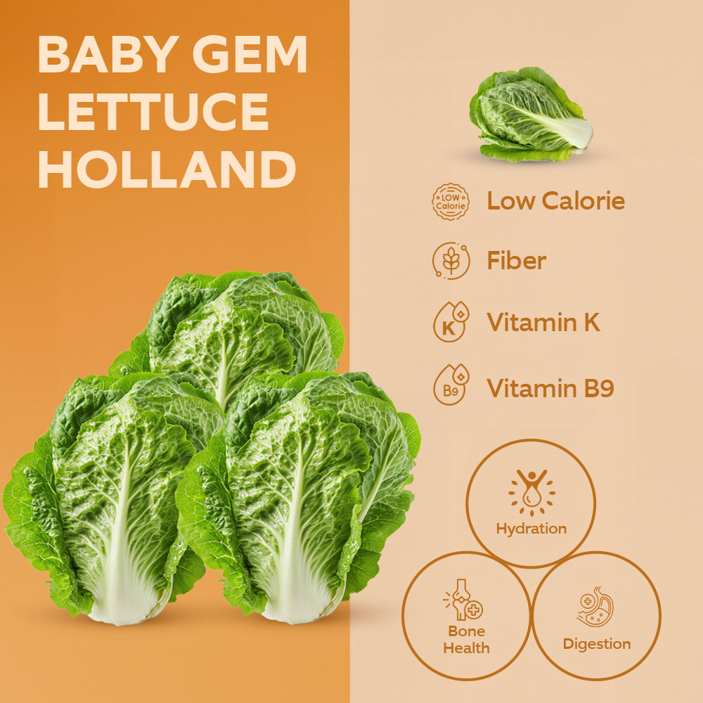 Baby Gem Lettuce Import [Per Pack] lifestyle image