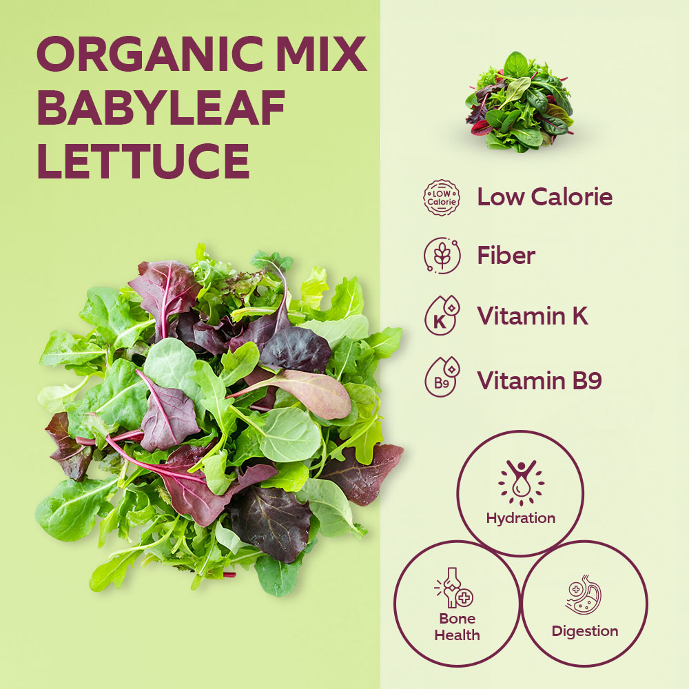Dar Aqua Organic Mix Baby Leaf Lettuce 150g lifestyle image