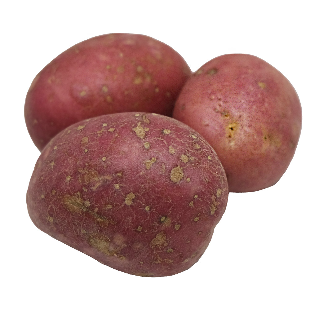 SuperValu Washed Rooster Potatoes [Per Kg] back image