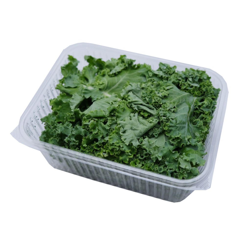 Dar Aqua Fresh And Organic Baby Kale 150g back image