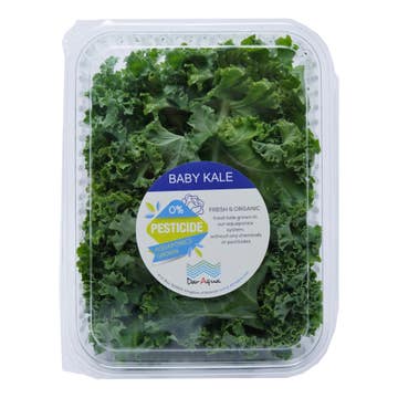 Dar Aqua Fresh And Organic Baby Kale 150g - Available at Alosra Online Supermarket