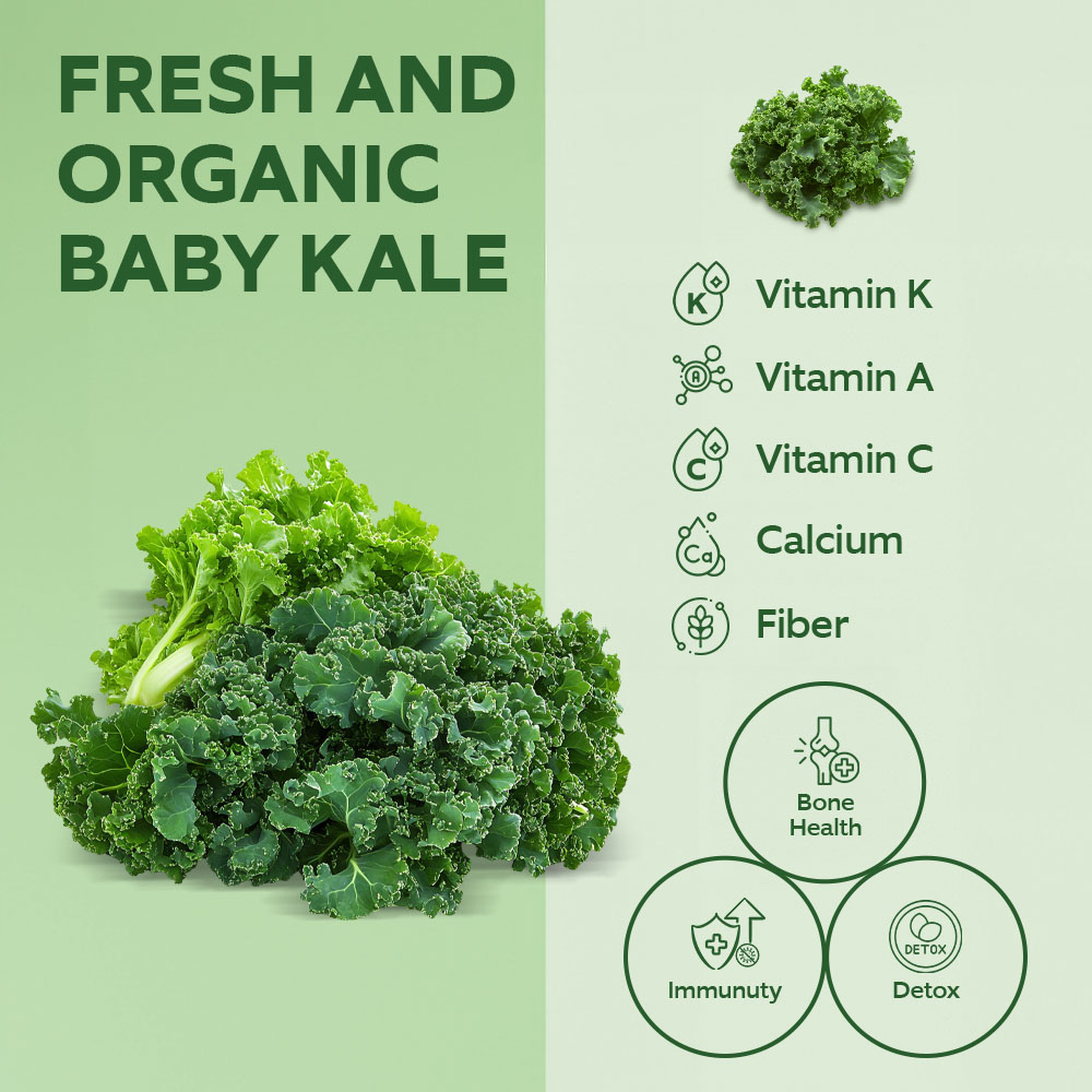 Dar Aqua Fresh And Organic Baby Kale 150g lifestyle image