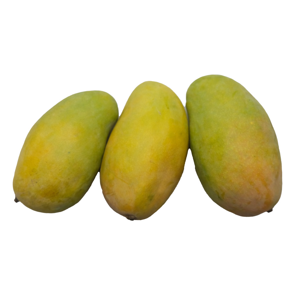 Mango Timor Yemen [Per Kg] back image