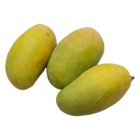 Mango Timor Yemen [Per Kg] 