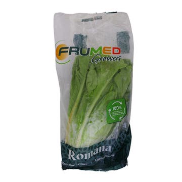 Frumed Growers Romani Lettuce 500g