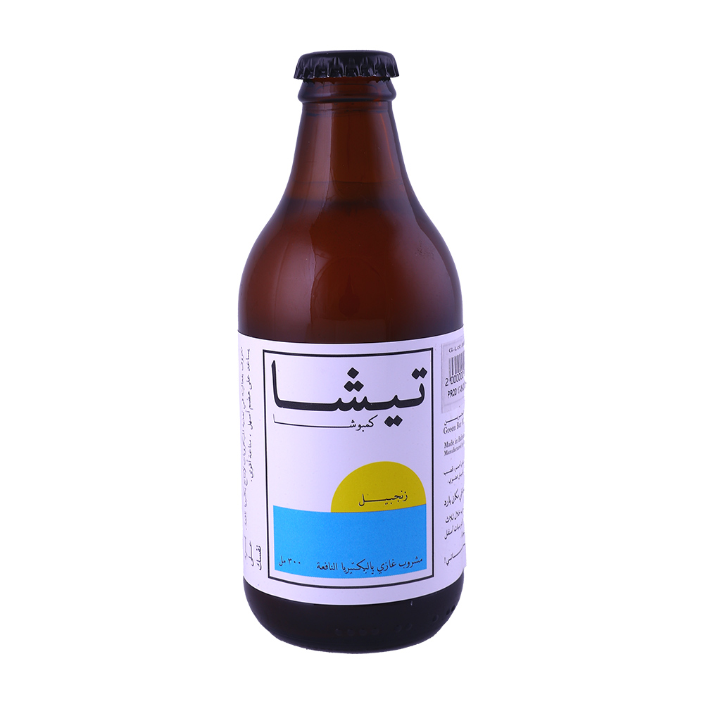 Techa Kombucha Ginger 300ml back image