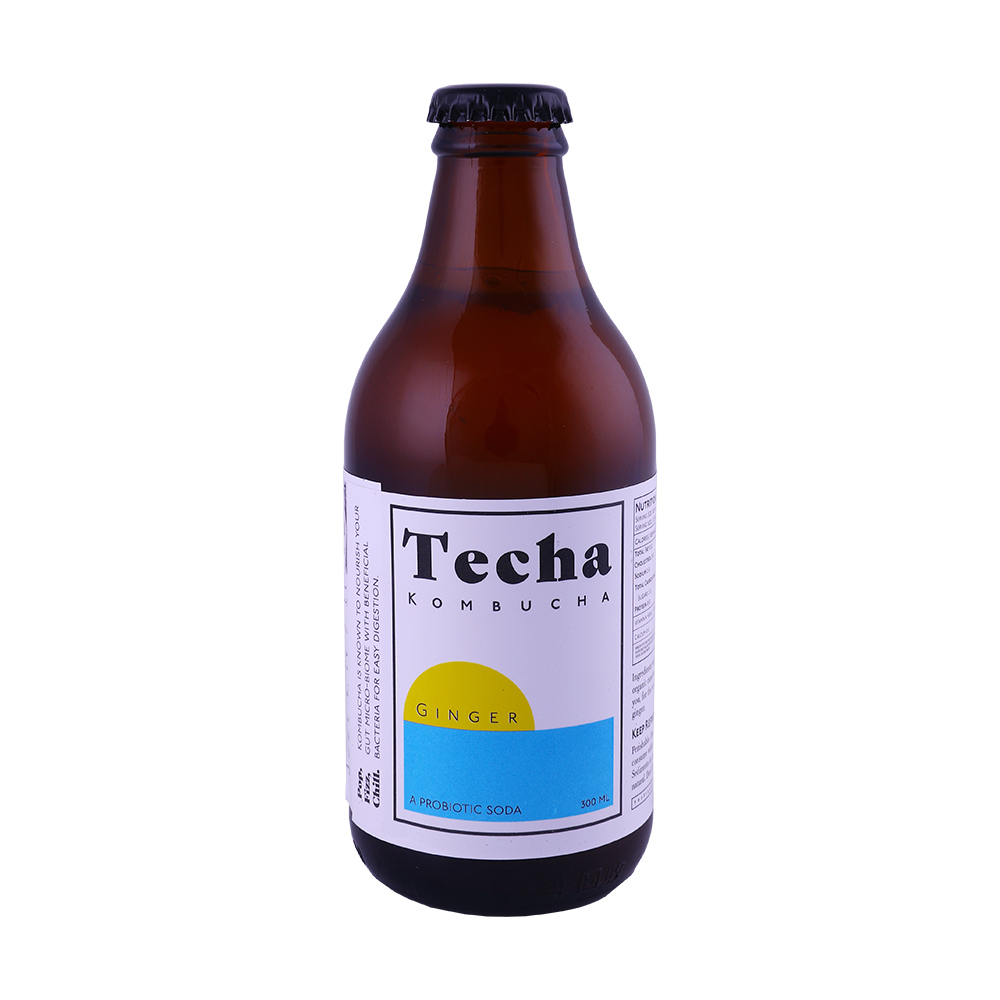 Techa Kombucha Ginger 300ml