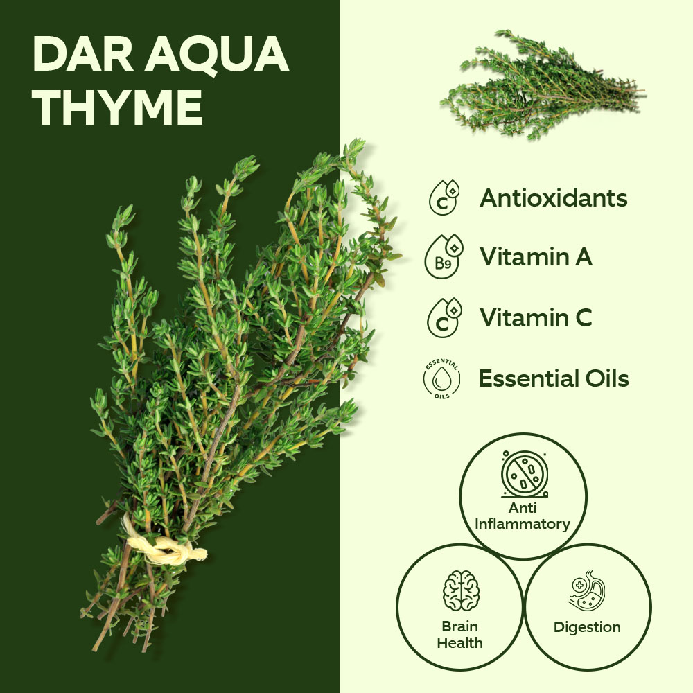 Dar Aqua Thyme 40g lifestyle image