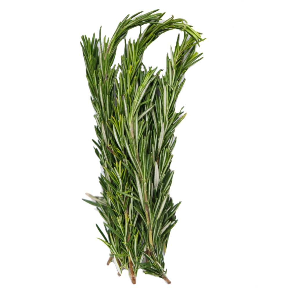 Dar Aqua Rosemary 50g back image