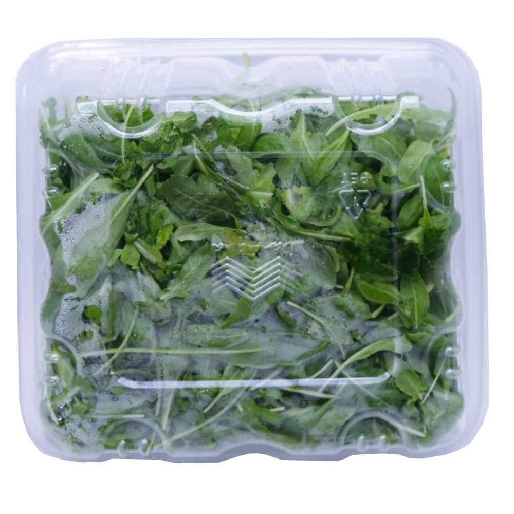 Dar Aqua Baby Rocca Wild Roquette Packet 100g back image