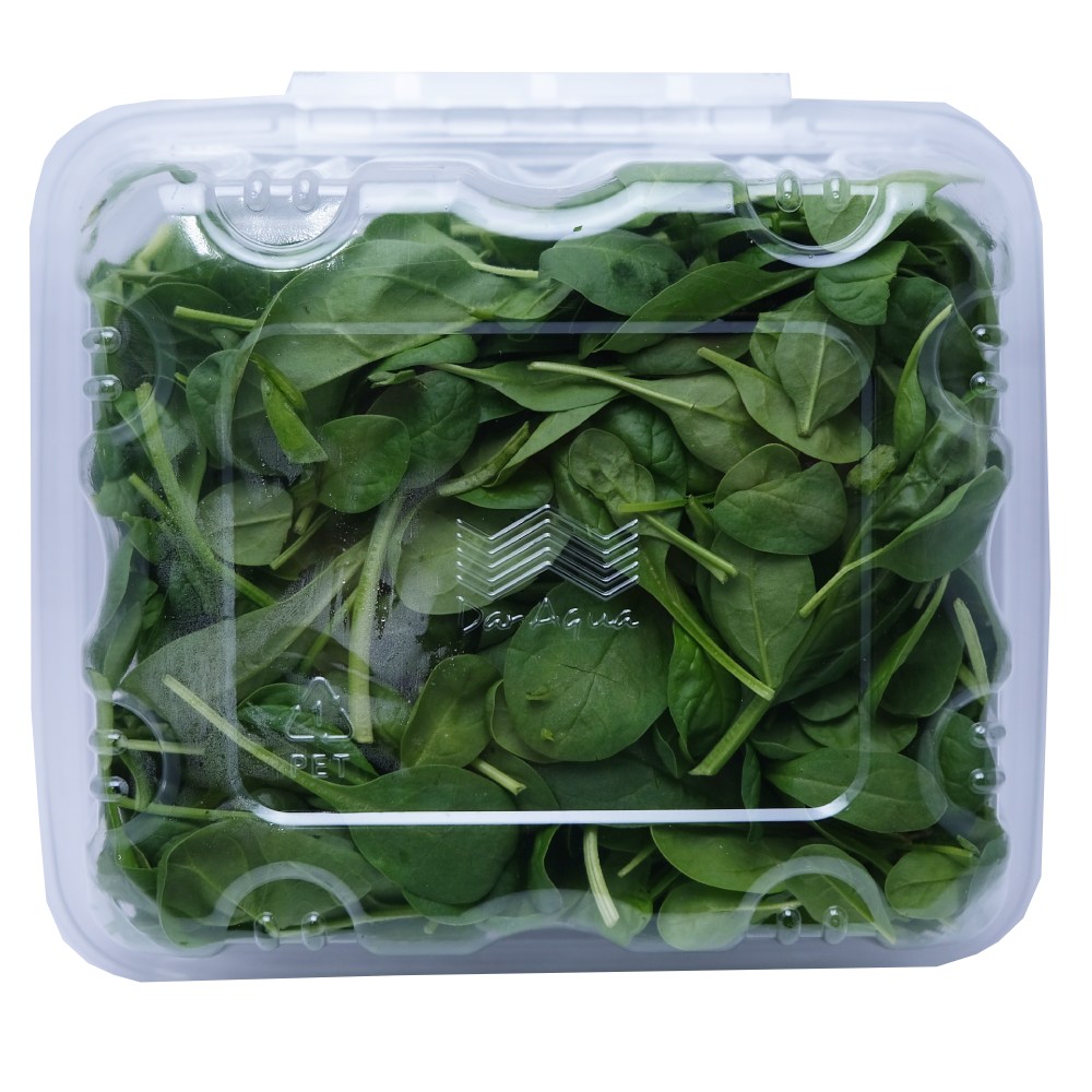 Dar Aqua Baby Spinach Packet 100g back image