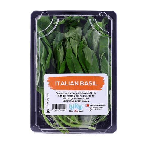 Dar Aqua Green Basil [Per Pack] 